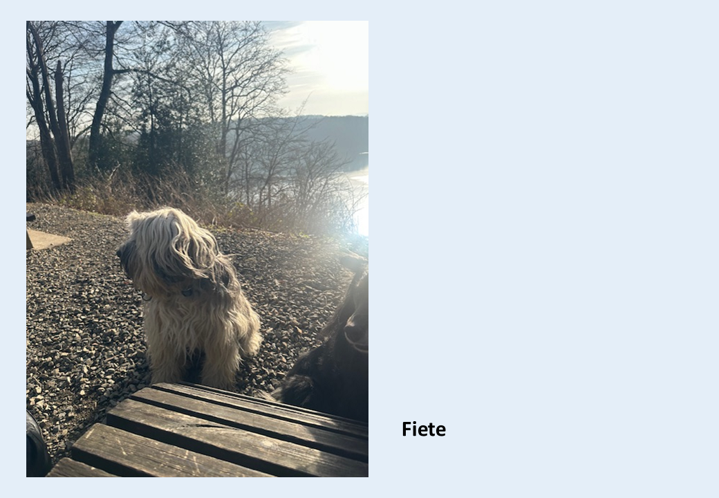 Fiete